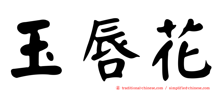 玉唇花