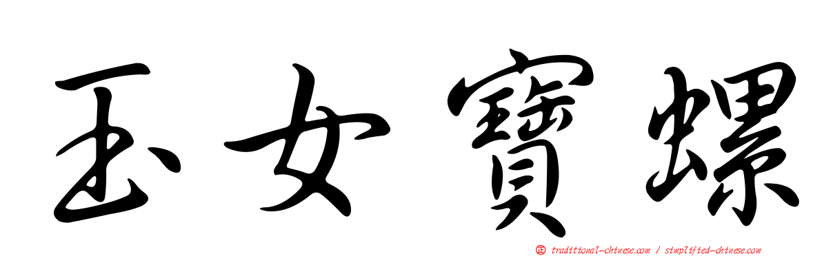 玉女寶螺