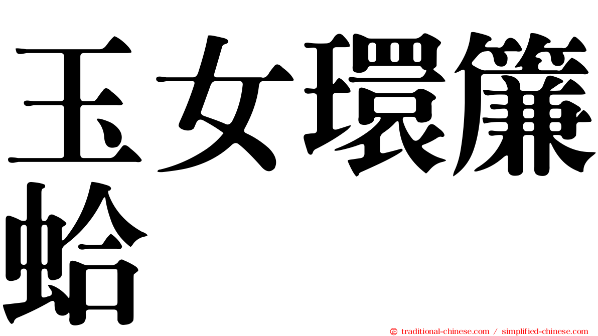 玉女環簾蛤
