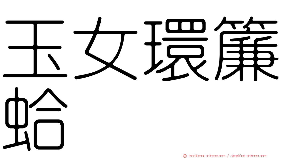 玉女環簾蛤