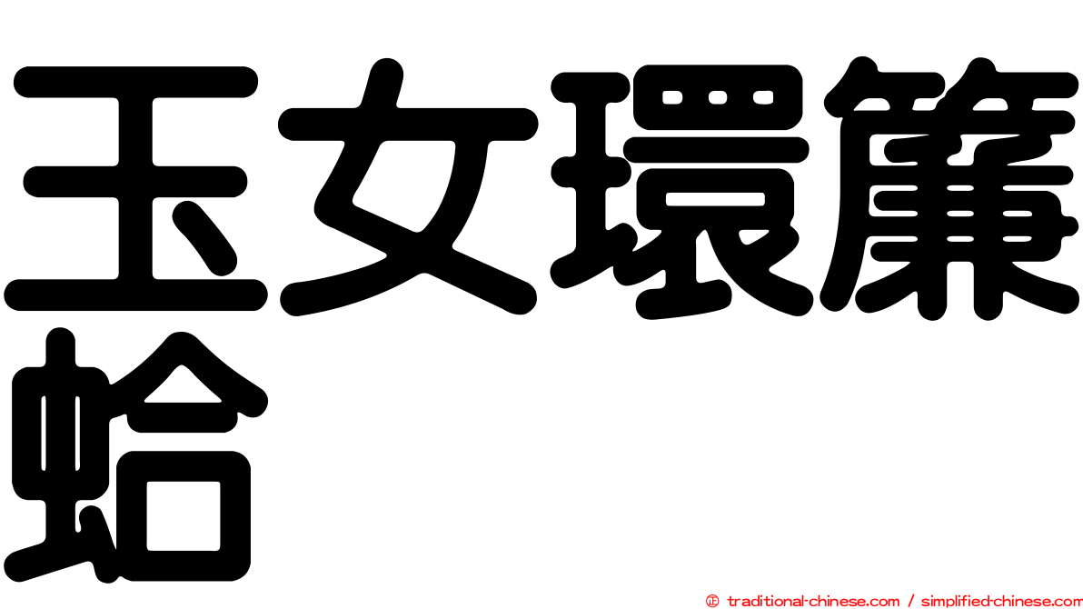 玉女環簾蛤