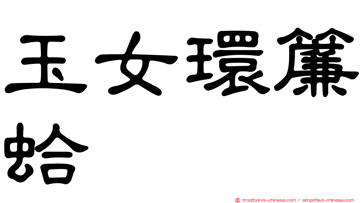 玉女環簾蛤