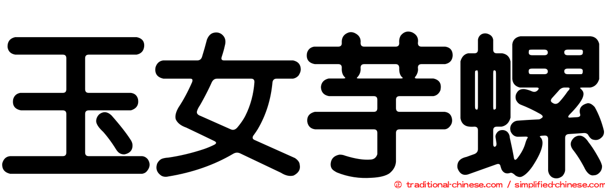 玉女芋螺