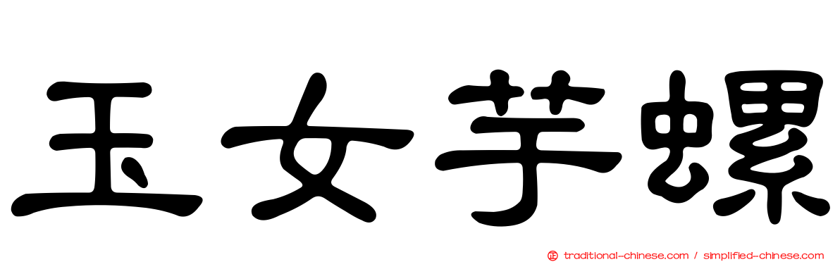 玉女芋螺