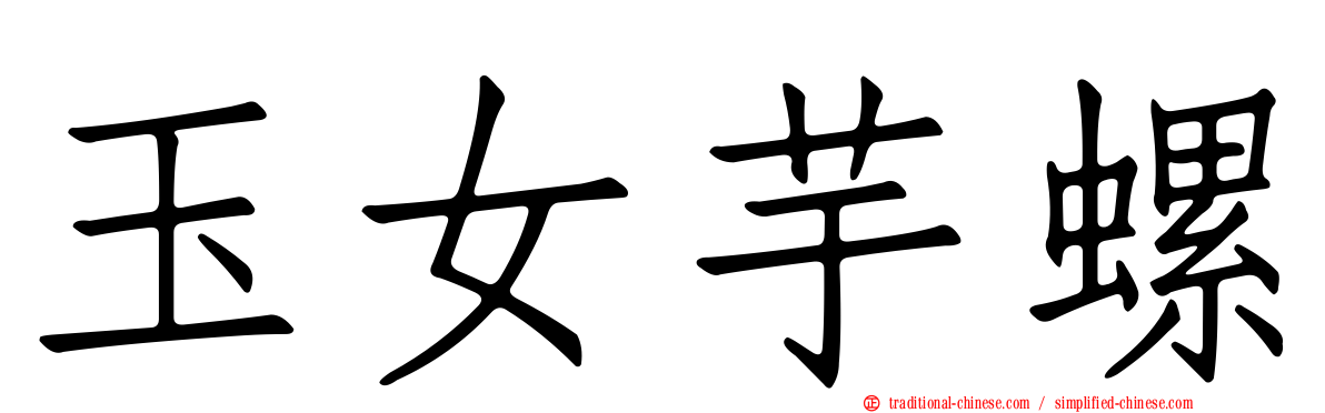 玉女芋螺