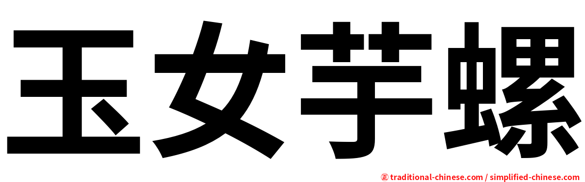 玉女芋螺