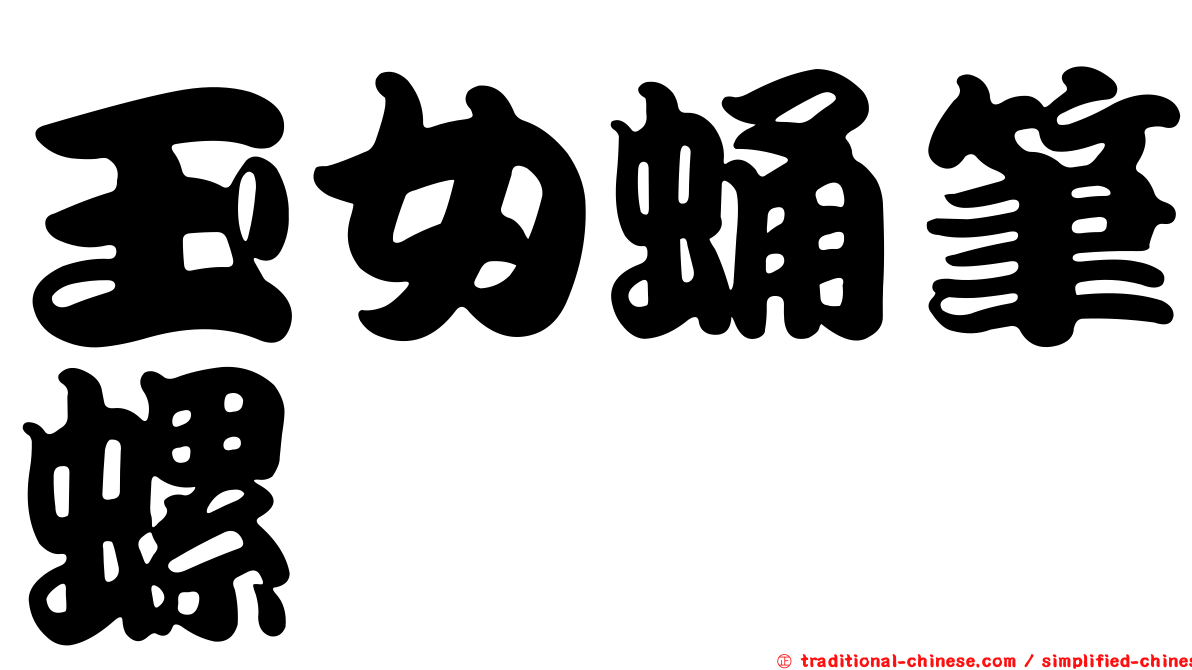 玉女蛹筆螺