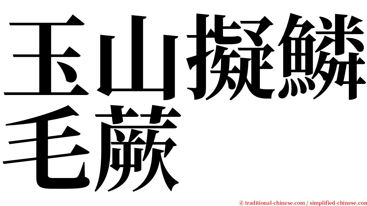 玉山擬鱗毛蕨 serif font