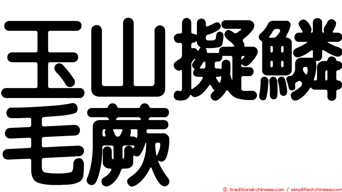 玉山擬鱗毛蕨