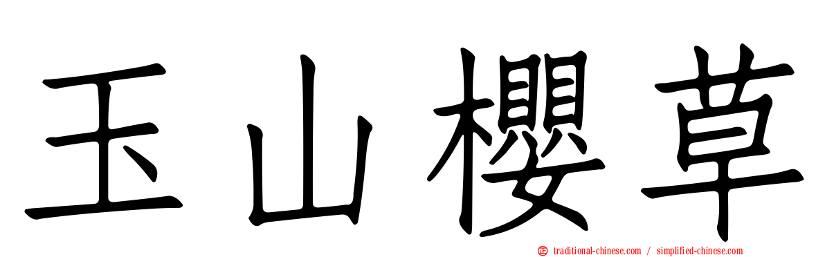 玉山櫻草