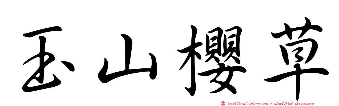玉山櫻草