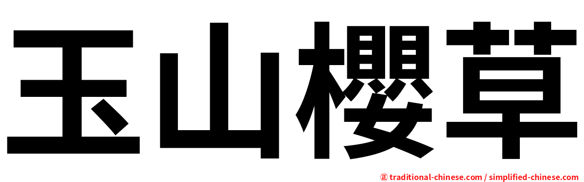玉山櫻草