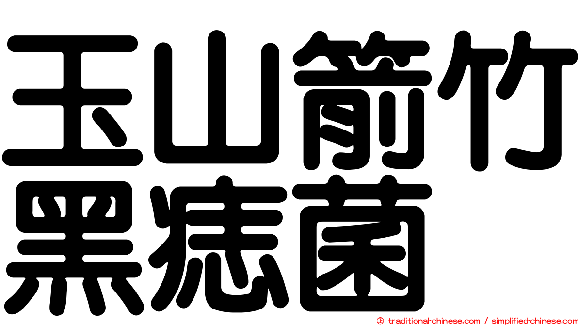 玉山箭竹黑痣菌
