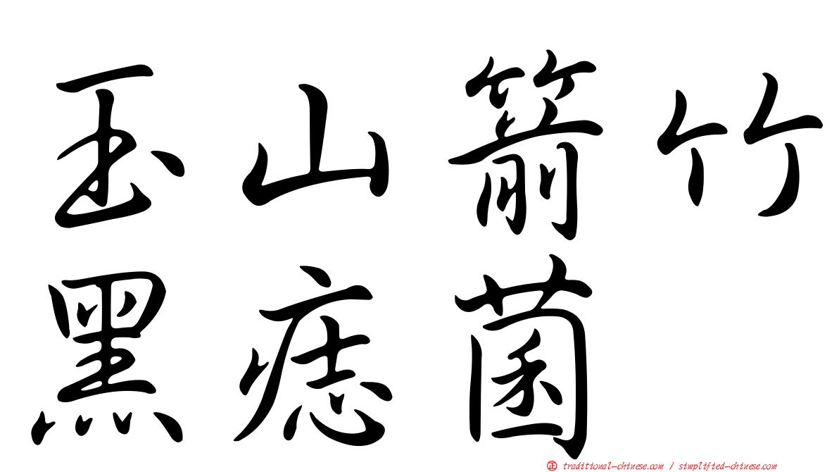 玉山箭竹黑痣菌