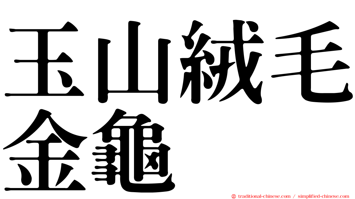 玉山絨毛金龜