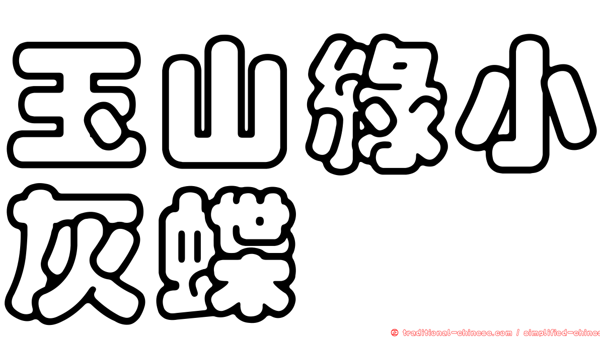 玉山綠小灰蝶