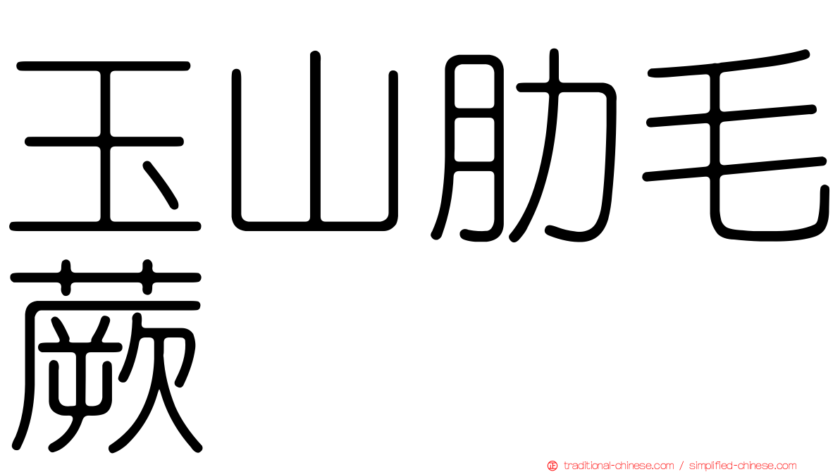 玉山肋毛蕨