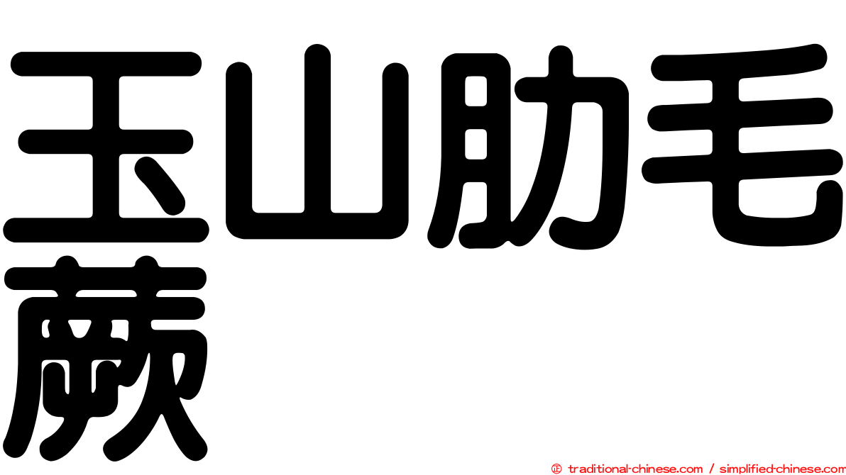 玉山肋毛蕨