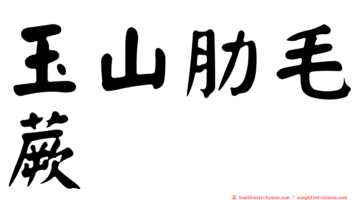 玉山肋毛蕨