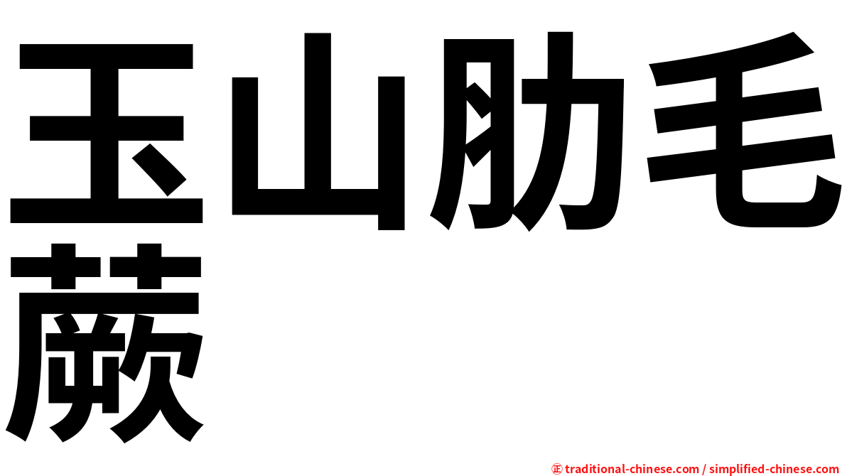 玉山肋毛蕨