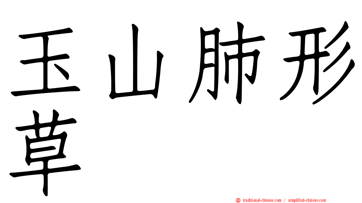 玉山肺形草