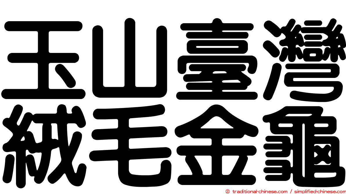 玉山臺灣絨毛金龜