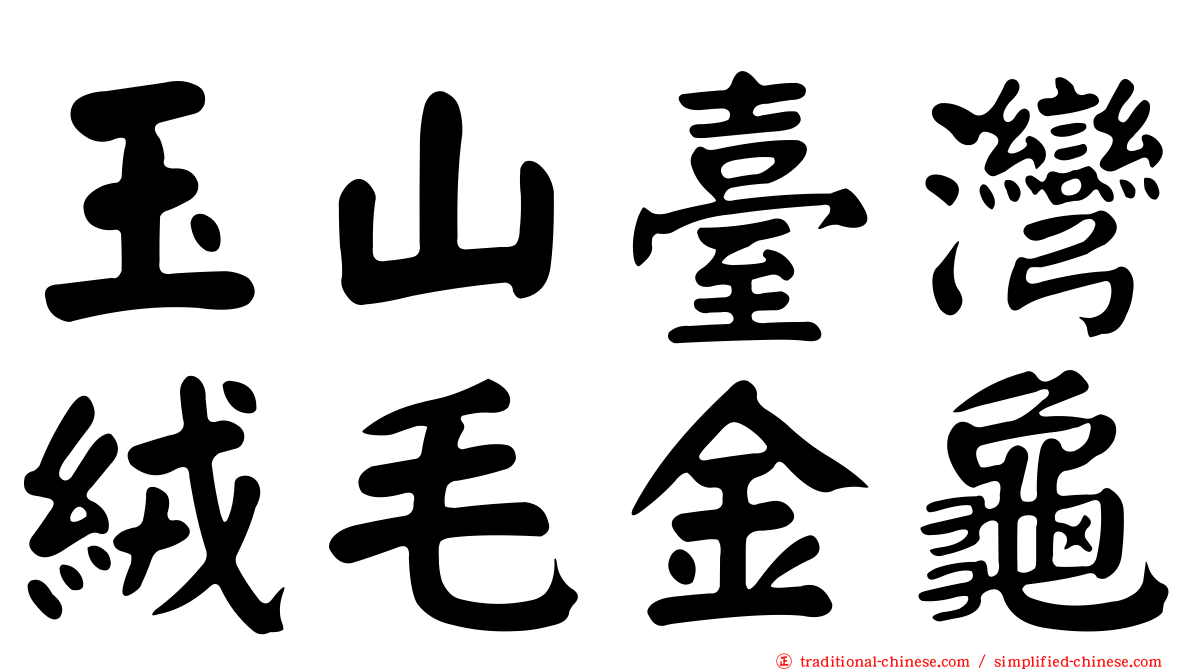 玉山臺灣絨毛金龜
