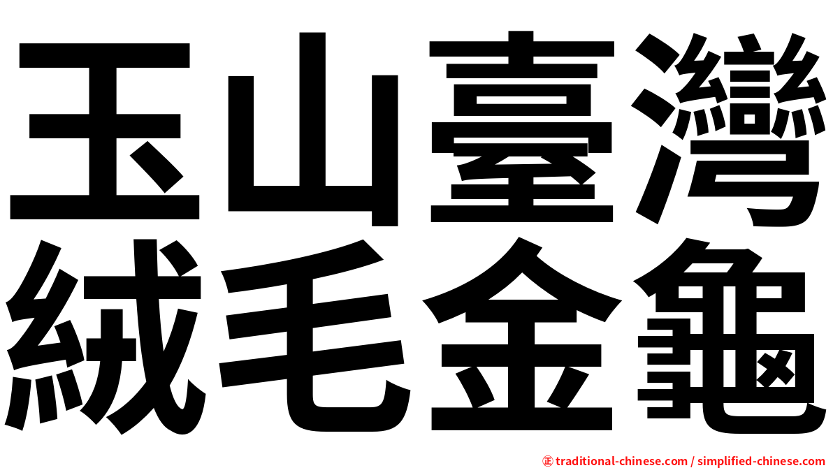 玉山臺灣絨毛金龜