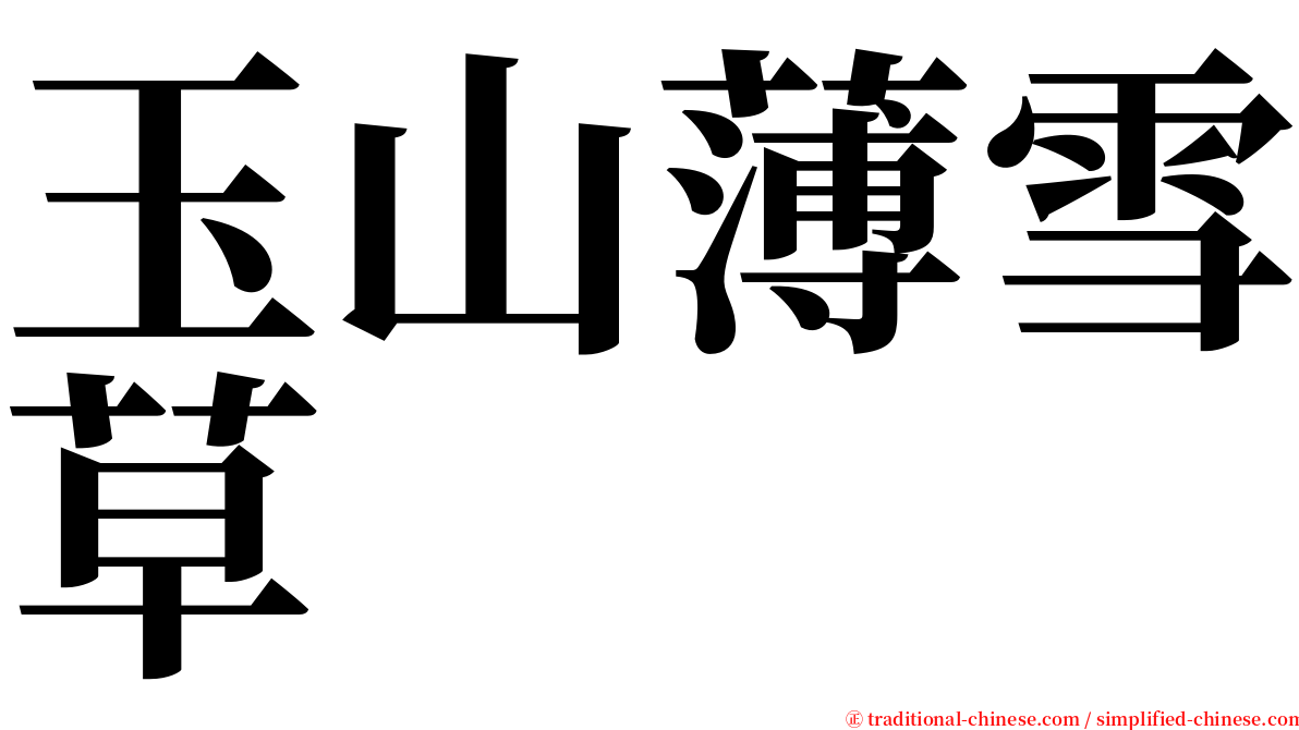 玉山薄雪草 serif font