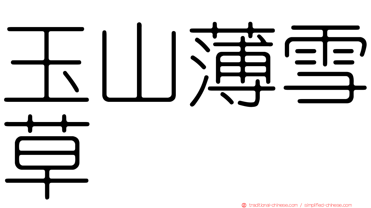 玉山薄雪草