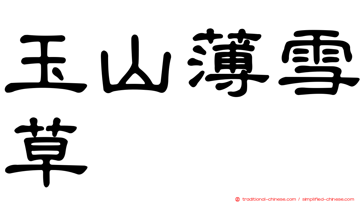 玉山薄雪草