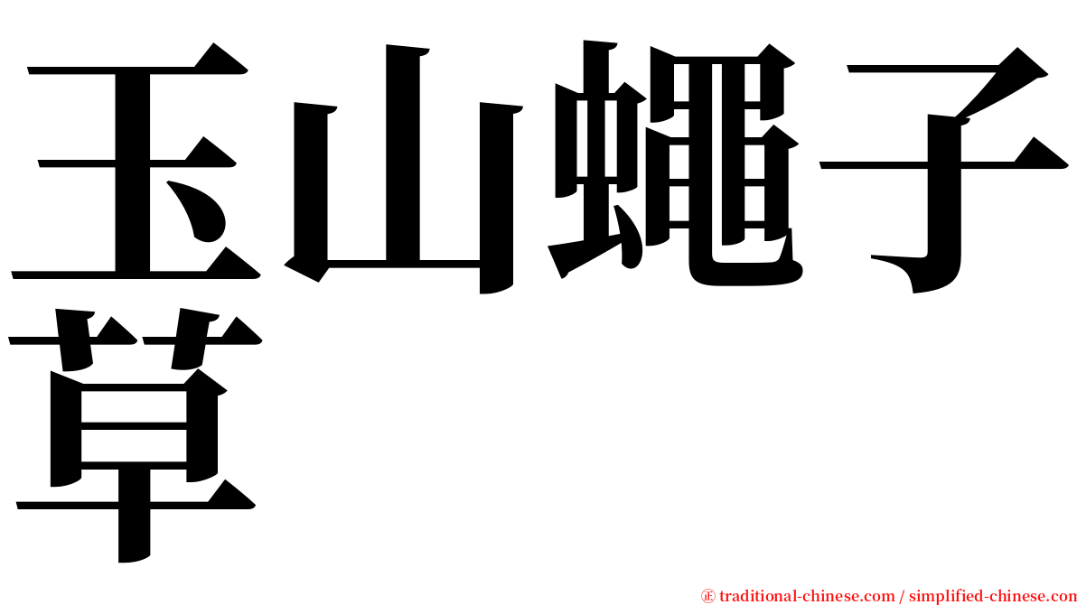 玉山蠅子草 serif font