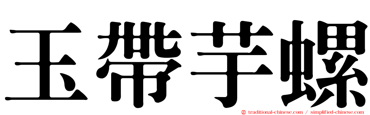 玉帶芋螺