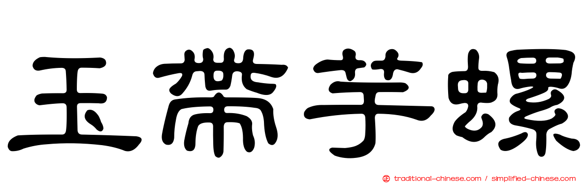 玉帶芋螺