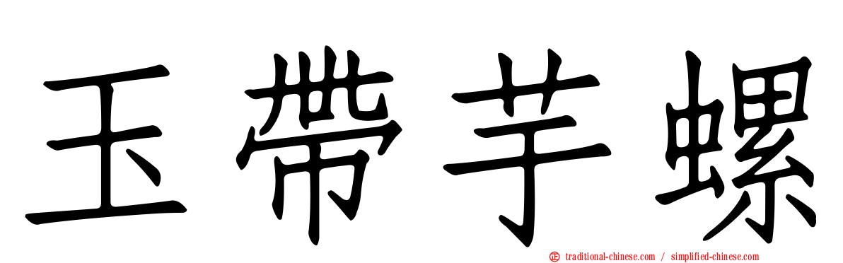 玉帶芋螺
