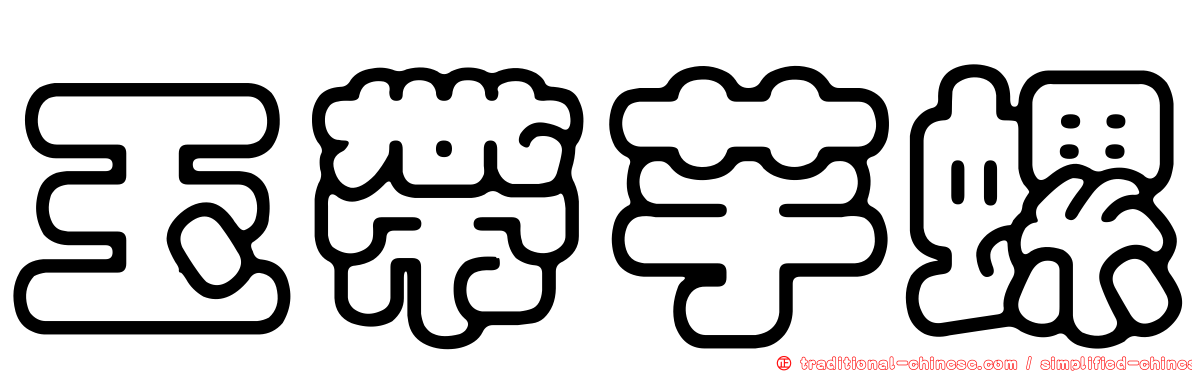 玉帶芋螺