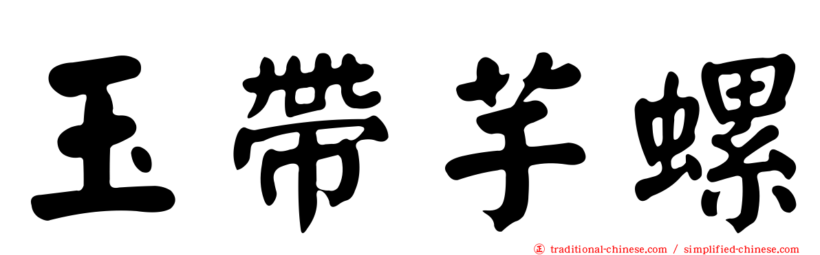 玉帶芋螺