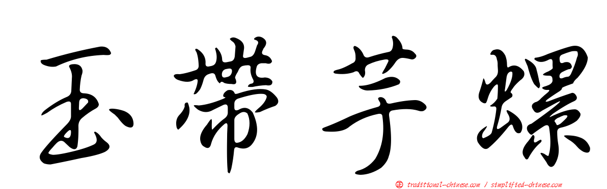 玉帶芋螺