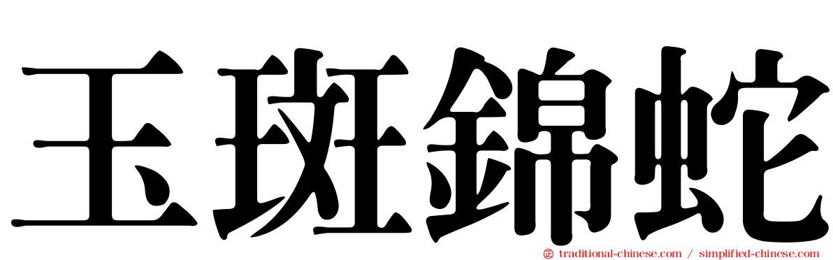 玉斑錦蛇