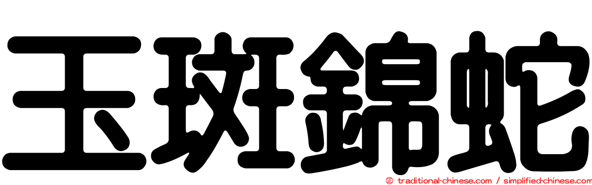 玉斑錦蛇