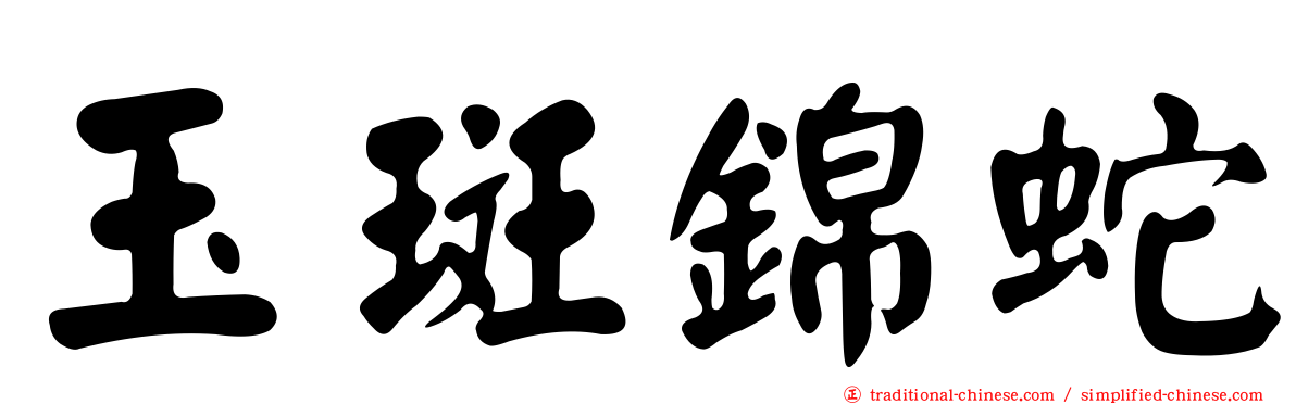 玉斑錦蛇