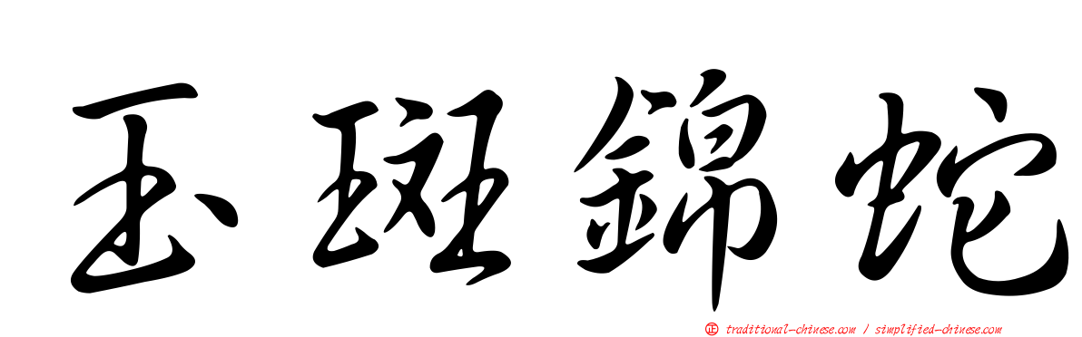 玉斑錦蛇