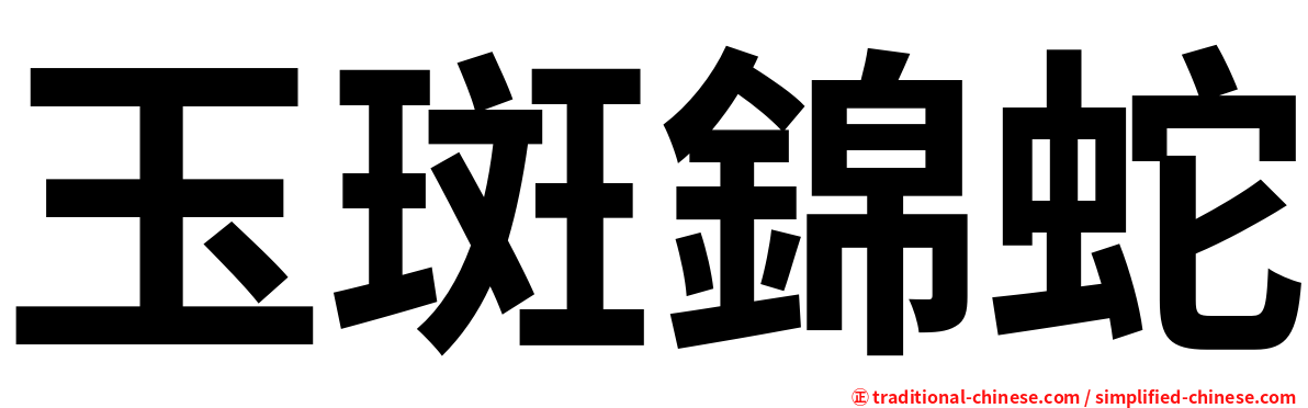 玉斑錦蛇