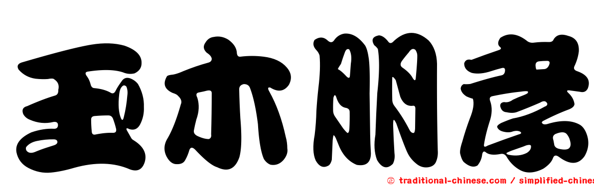 玉木朋孝