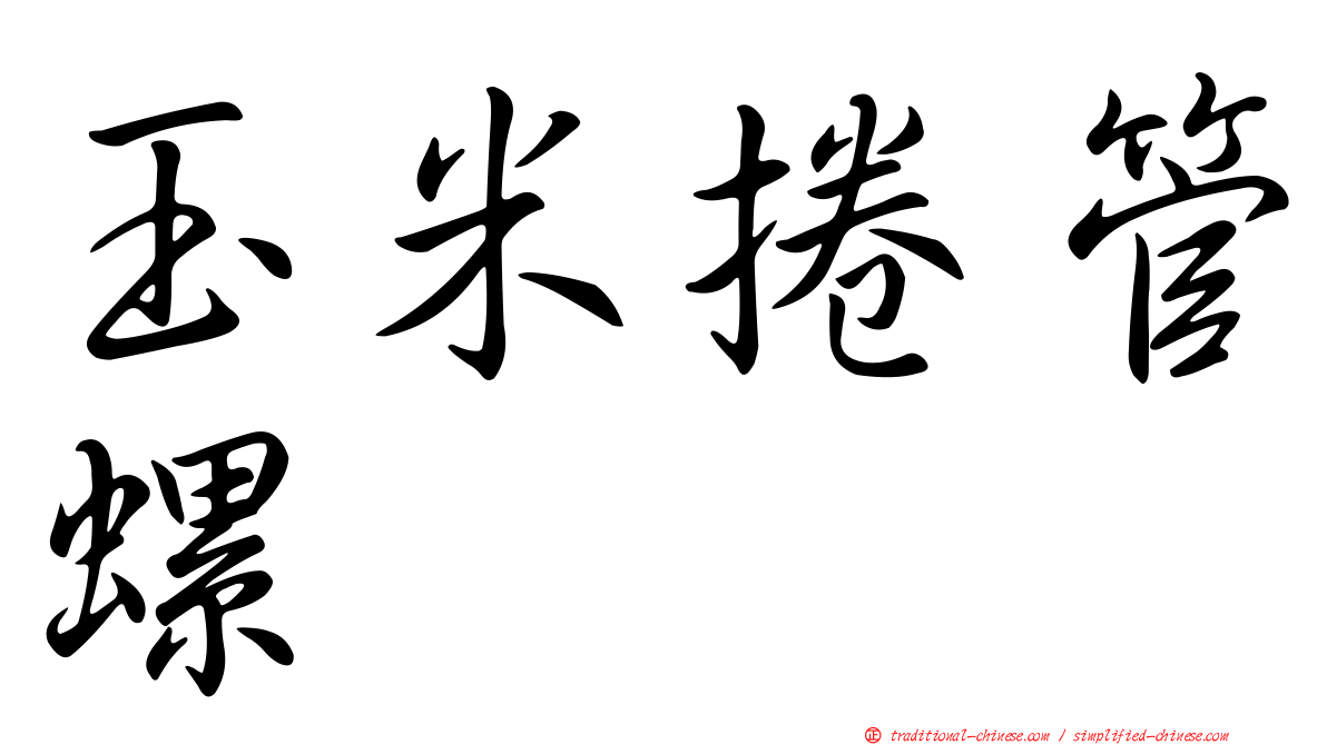 玉米捲管螺