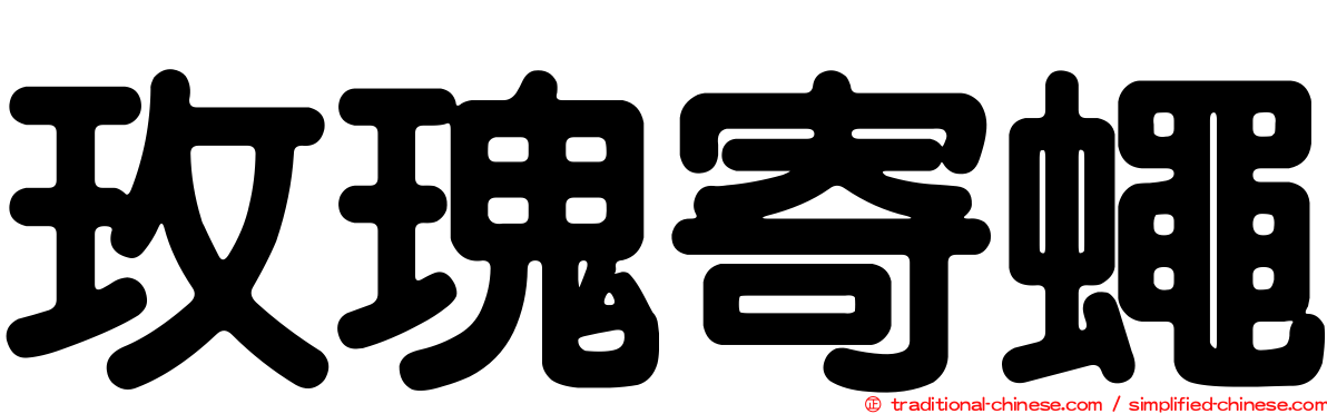 玫瑰寄蠅