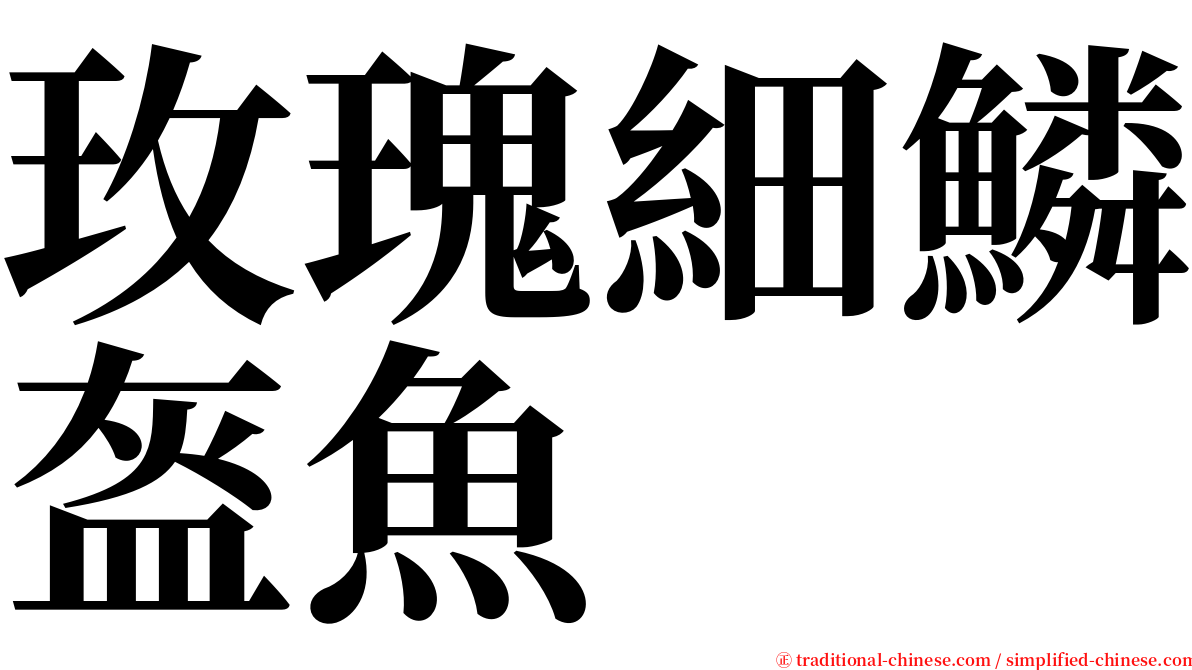 玫瑰細鱗盔魚 serif font