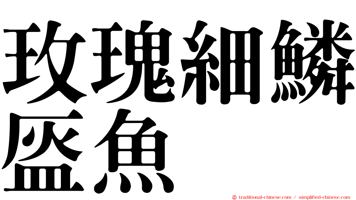 玫瑰細鱗盔魚