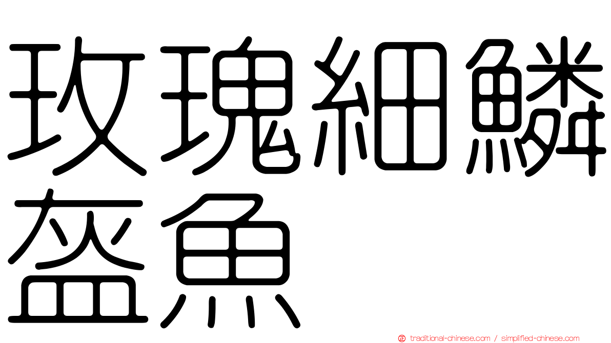 玫瑰細鱗盔魚