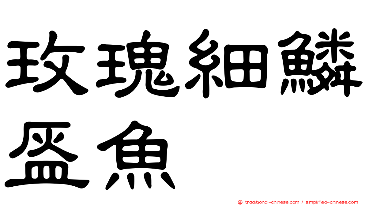 玫瑰細鱗盔魚